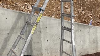 Ladder Walking Away From the Job Site