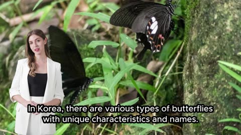 "Butterfly" in Korean – Meaning & Cultural Significance