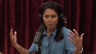 Tulsi Glabbard says New Democratic Party Stands for Evil and New Woke ideology " She's disgusted "