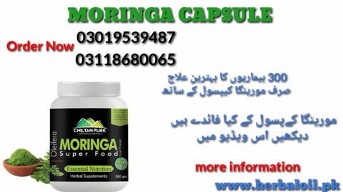 Moringa Capsule Honestly Review in Urdu | Price in Pakistan | SIDE EFFECTS AND BENEFITS 03118680065