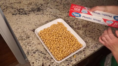 How to make Chickpea (SOY FREE) Natto