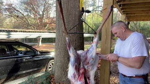 HOW TO SKIN AND QUATER DEER !