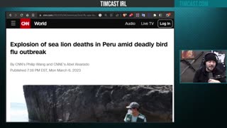 Explosive Outbreak of Deadly Bird Flu Kills Thousands of Sea Lions in Peru