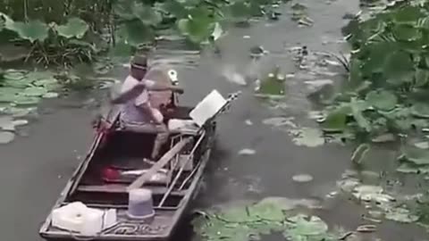 Fishes jumping into the boat