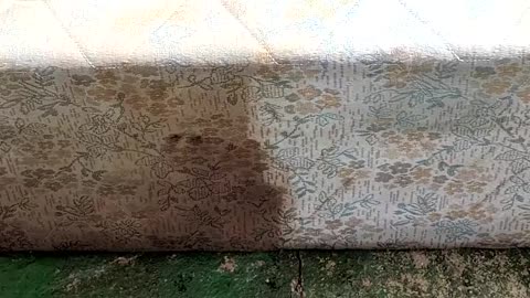 How 7 Years Of Dirt Is Deep Cleaned From Mattresses Deep Cleaned