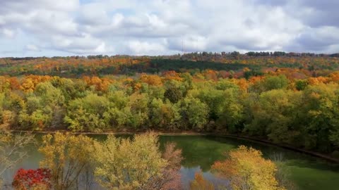 Enchanting Autumn Forests with Beautiful Piano Music