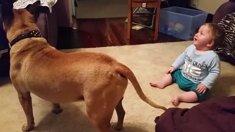 Baby laughing at dog & bubbles