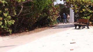 s02e04 key biscayne and no-name harbor