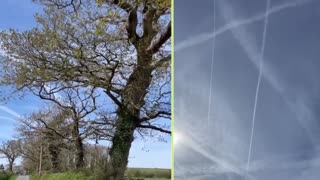 Is endless spraying of heavy metals in the sky normal?