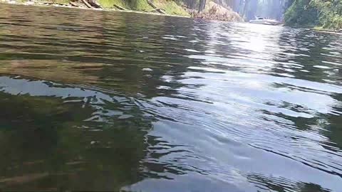 Snorkeling in the local river.