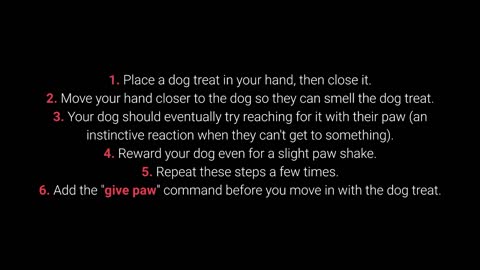 TRAIN YOUR DOG TO PAW - BASIC DOG TRAINING #2