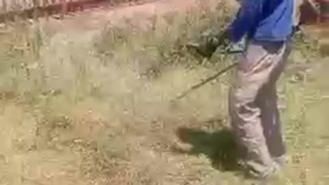 We Cut Grass, Trees & Clear Plots in JHB, Gauteng. Phone No 0711175405