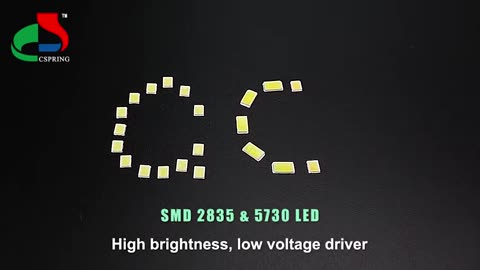 Anti-sulfuration 0.2w 0.5w 1w 26-28lm 2835 Vs 5050 Smd Led Didoes