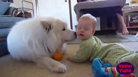 Baby playing with dog