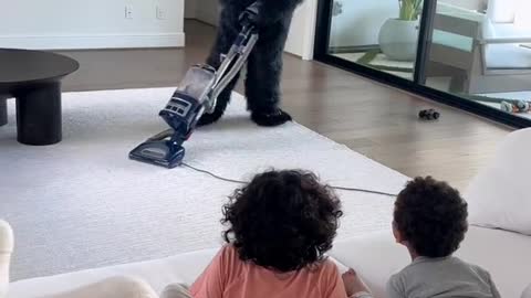 Telling my kids that the gorilla cleans the house