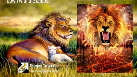 Seek out true Knowledge & Receive pure Wisdom... The Lion & His Lambs 🎺 Trumpet Call of God (1)