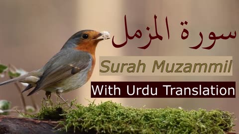 Surah Muzammil with Urdu translation | Beautiful Quran Recitation | Quran with UrduHindi translation