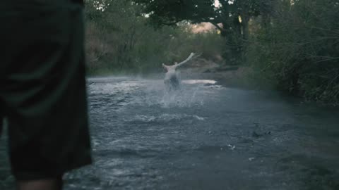 Dog catching a ball in river