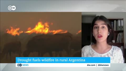 Firefighters in northern Argentina are struggling to contain massive wildfires | DW News