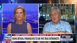 Democrats know their system is on the verge of being destroyed: Newt Gingrich