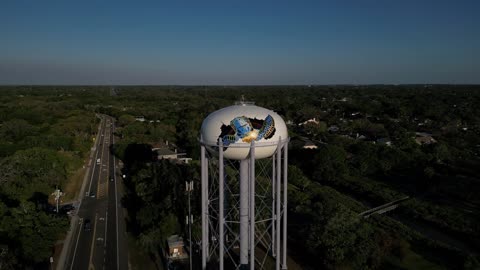 Henry the gopher tortoise on the Dunedin Curlew water tower.