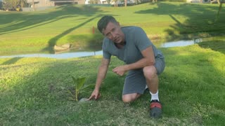 The Beginnings of a Mexican Coconut Palm