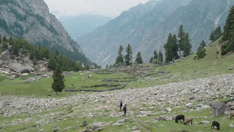 Spectacular Remote Kutwal Lake in Haramosh Valley 🇵🇰 EP.14 | North Pakistan Motorcycle Tour