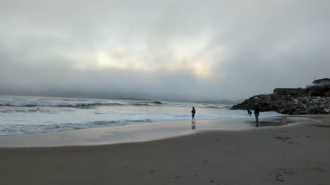 Embrace The Monterey Bay Fog