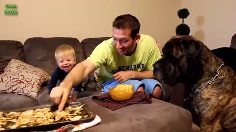 Funny Babies Laughing Hysterically at Dogs Compilation_p3
