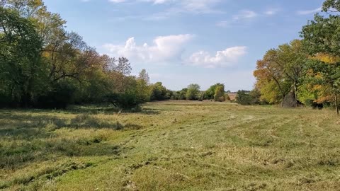 Rejuvenating an Old Dairy Field