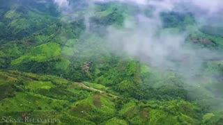 BANGLADESH - SCENIC MUSIC