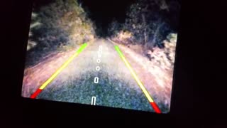 Bigfoot Chases Car in Colorado