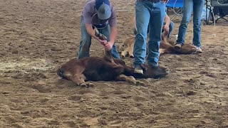 Growing up Cowboy