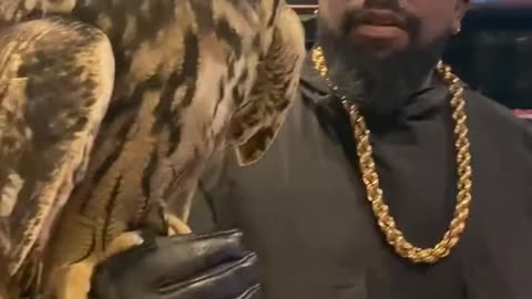 Big Boi brought his pet owl “Hootie” to the studio 🦉