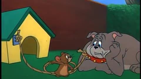 Tom and Jerry tied