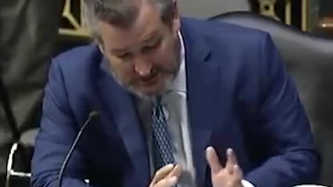 Ted Cruz Goes Scorched Earth Against State Dept. Rep on Biden's Limp-Wristed Iran Policy