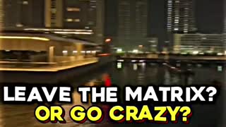 Leave The Matrix or go Crazy?!?