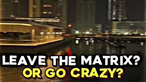 Leave The Matrix or go Crazy?!?