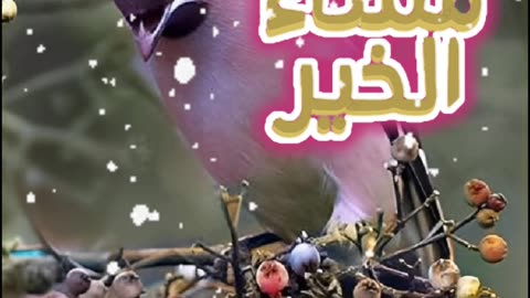 مساء الخير أدعية و أذكار #دعاء_لك_هذا_اليوم_المبارك