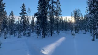 The Sun Rises – Central Oregon – Swampy Lakes Sno-Park – 4K