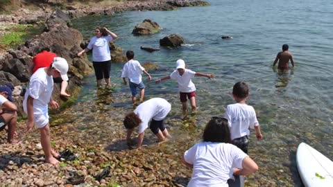MSTAW- Journée d'activités de protection de l'environnement aux iles des Princes (Turquie)