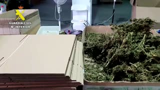 Spain seizes largest amount of marijuana ever