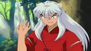 Inuyasha 17