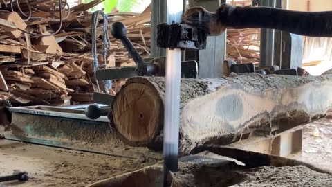 Restoration processing of bent and lump-filled teak wood becomes even more useful in sawmills