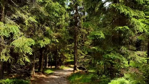 Hiking in the Fichtelgebirge