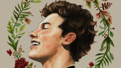 SHAWN MENDES - Leaked song (unreleased) audio