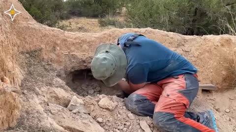 treasure hunting using metal detector