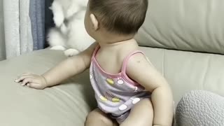 Cute dog and baby#dogvideo#viralvideo##cutecideo#