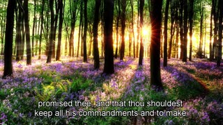 The bible-5-26-Deuteronomy