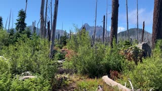 Central Oregon - Enjoying the Ecological Wonderland that is the Pacific Crest Trail